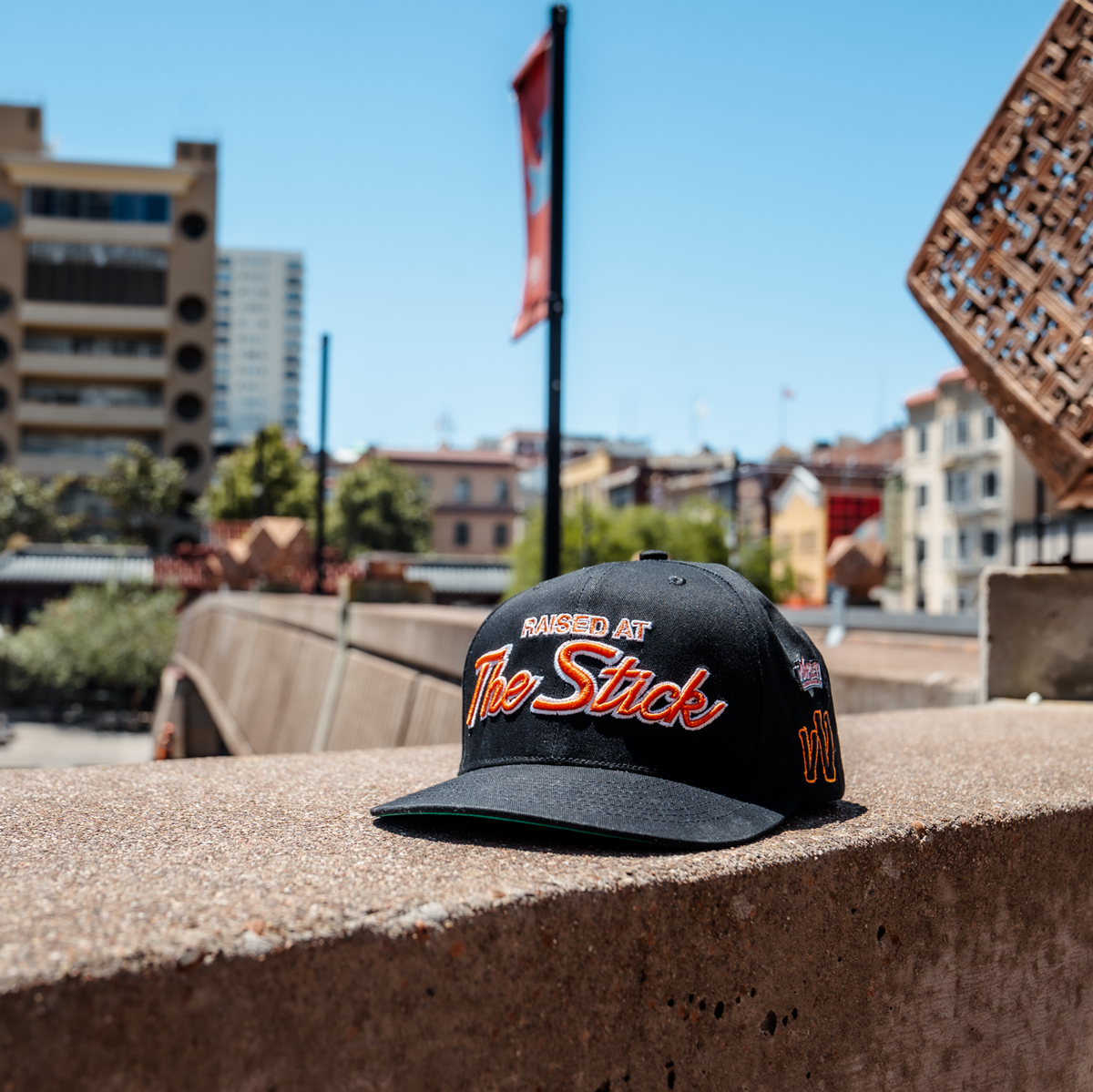Raised At The Stick Specialties Snapback Hat
